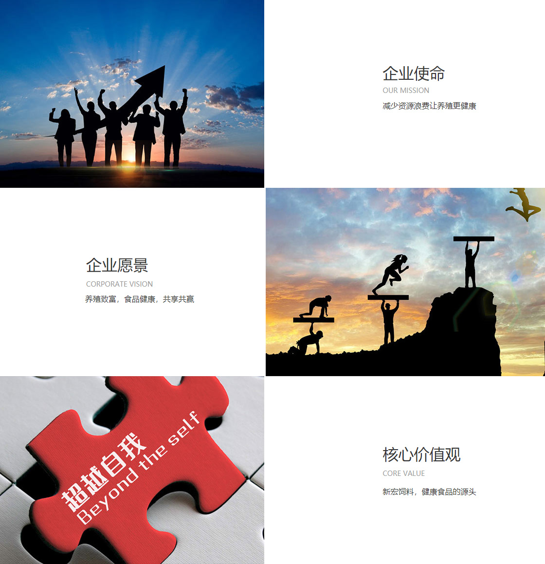 开云(中国)(图1)
